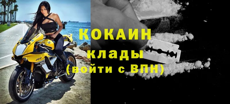 Cocaine Fish Scale  где можно купить наркотик  Заозёрск 